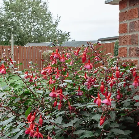 The Georgian House * 伊辛沃尔德